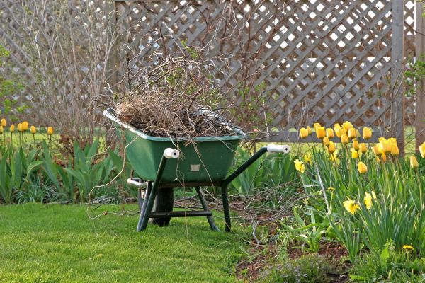 Flower Bed Cleanup Service in Gig Harbor
