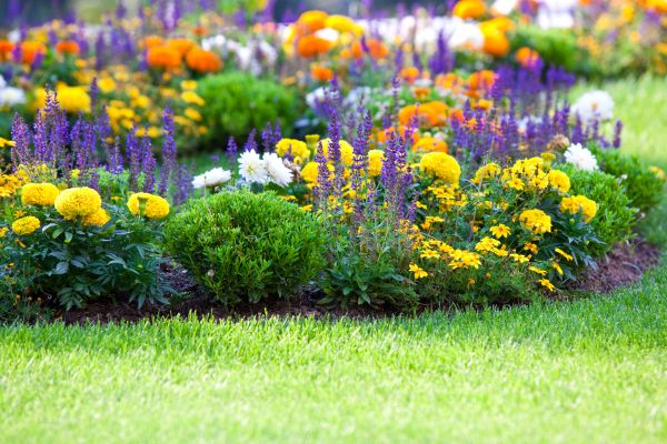 Flower Bed Maintenance in Gig Harbor