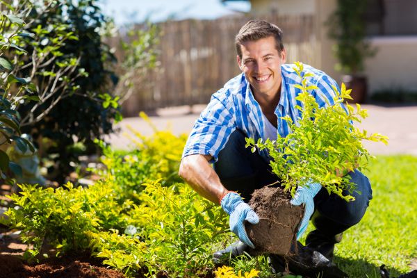 Bush Planting Service in Gig Harbor