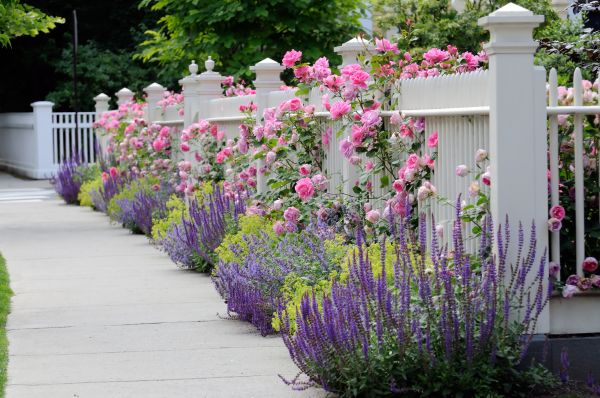Garden Handyman Service in Gig Harbor