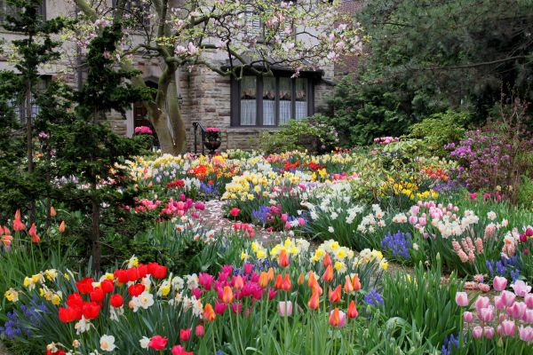 Garden Maintenance Service in Gig Harbor