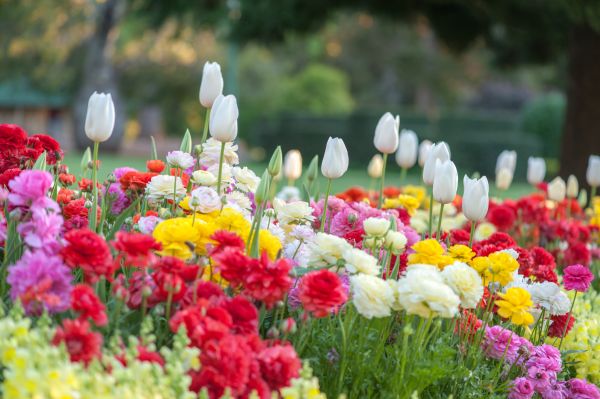 Gardening Service in Gig Harbor