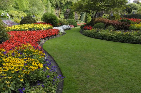 Landscaping Maintenance in Gig Harbor