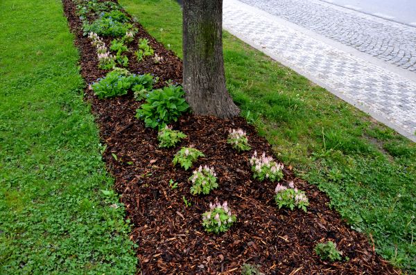 Mulch Replacement Service in Gig Harbor