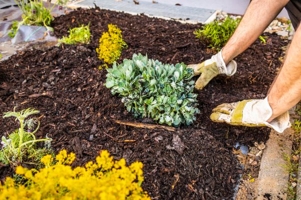 Weeding And Mulching in Gig Harbor