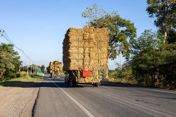 Pine Straw Delivery in Gig Harbor