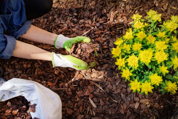Garden Mulching in Gig Harbor