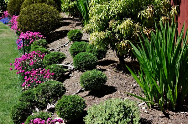 Residential Gardening in Gig Harbor