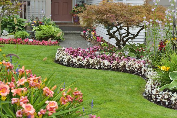 Perennial Landscaping in Gig Harbor