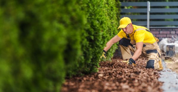 Cypress Mulch Installation in Gig Harbor