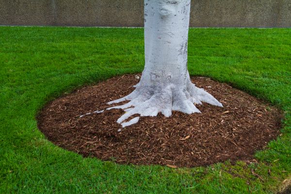 Brown Mulch Installation in Gig Harbor