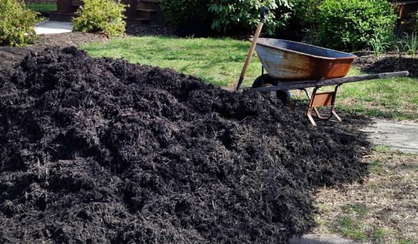 Black Mulch Installation in Gig Harbor