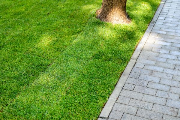 Border Stone Installation in Gig Harbor