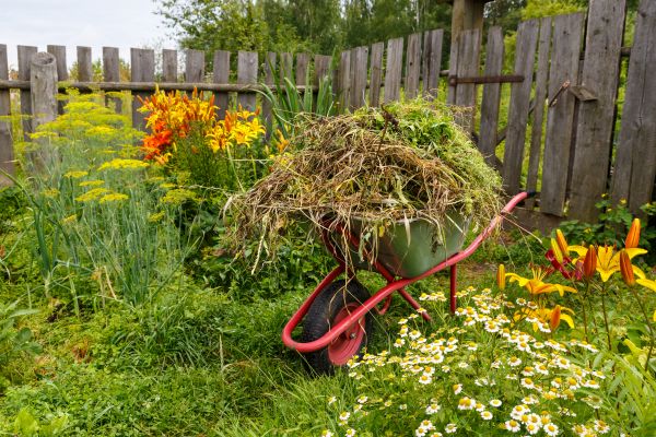 Garden Cleanup Service in Gig Harbor