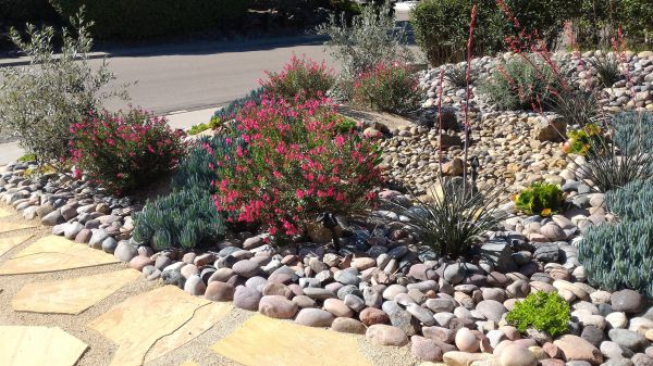 Xeriscape Landscaping in Gig Harbor