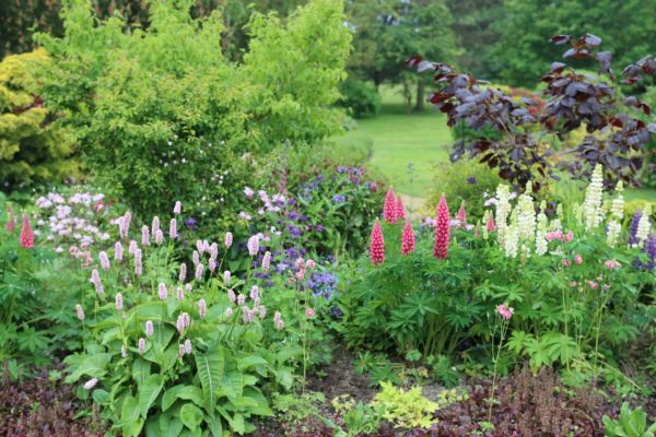 Flower Bed Planting in Gig Harbor