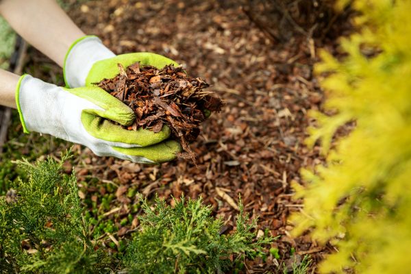 Garden Mulch Delivery in Gig Harbor