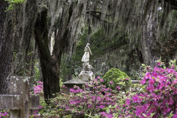 Cemetery Landscaping in Gig Harbor