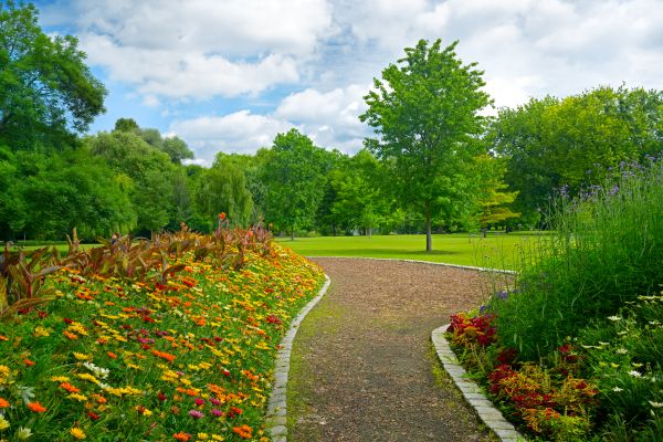 Park Landscaping in Gig Harbor