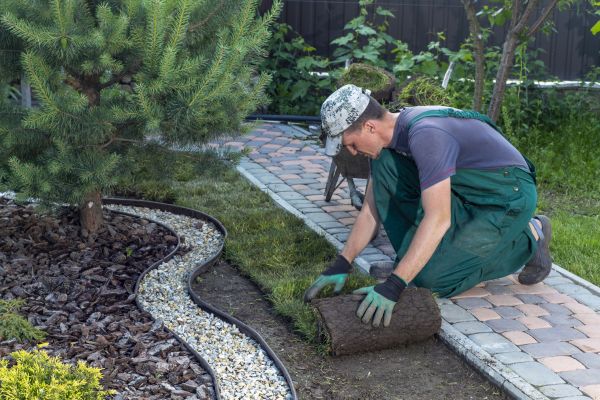 Landscaping Modification in Gig Harbor