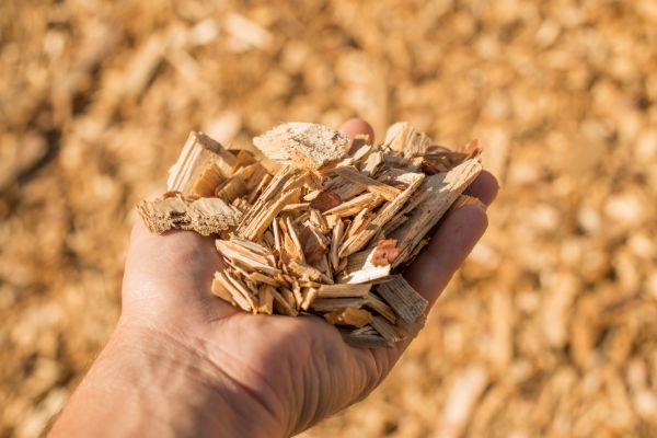 Wood Chips Spreading in Gig Harbor