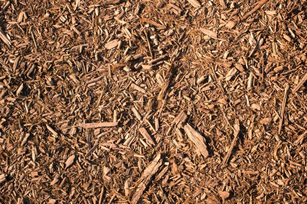 Wood Chips Removal in Gig Harbor