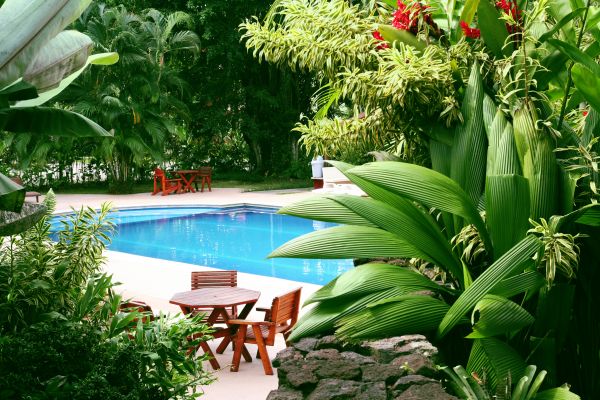 Pool Area Landscaping in Gig Harbor