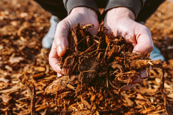Bark Chips Delivery in Gig Harbor