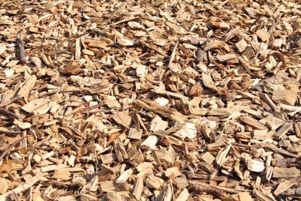 Wood Mulch Delivery in Gig Harbor
