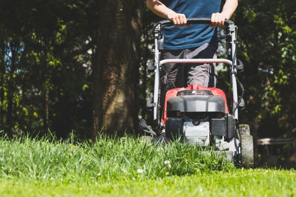 Garden Trimming Service in Gig Harbor