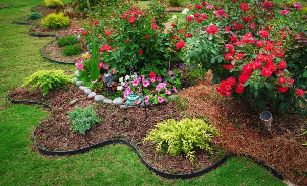 Floral Landscaping in Gig Harbor
