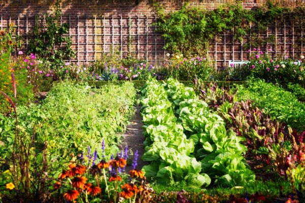 Garden Planting Service in Gig Harbor