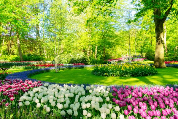 Flower Landscaping in Gig Harbor