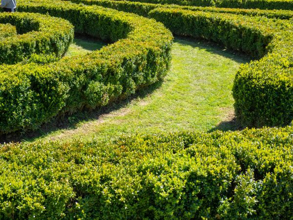Bush Landscaping in Gig Harbor