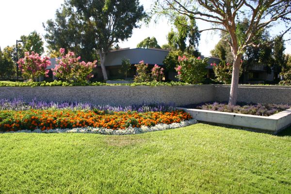 Commercial Landscape Service in Gig Harbor