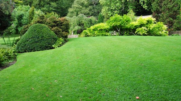 Commercial Landscape Design in Gig Harbor