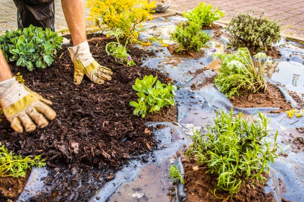 Mulch Fabric Installation in Gig Harbor
