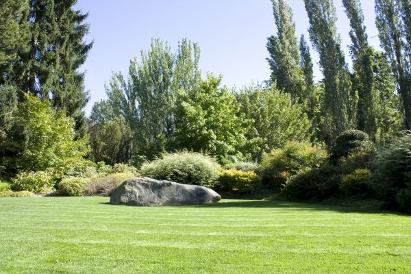 Yard Enlargement in Gig Harbor