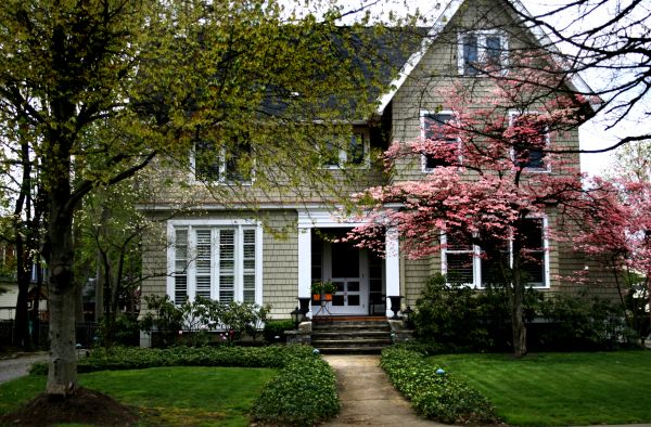 Ornamental Tree Planting in Gig Harbor