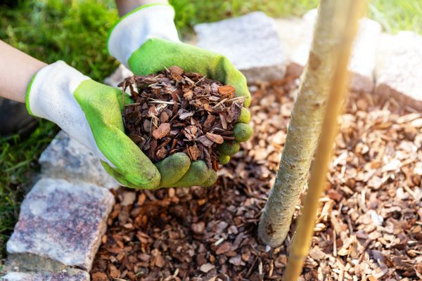 Tree Bark Delivery in Gig Harbor