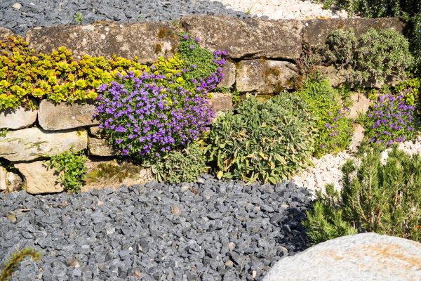Landscaping Rocks Installation in Gig Harbor
