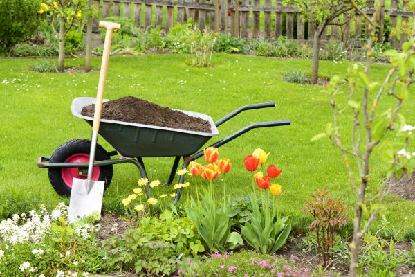 Spring Yard Renovation in Gig Harbor