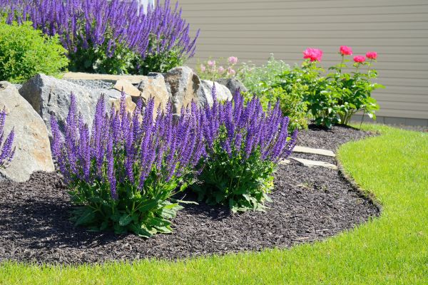 Landscape Planting Service in Gig Harbor
