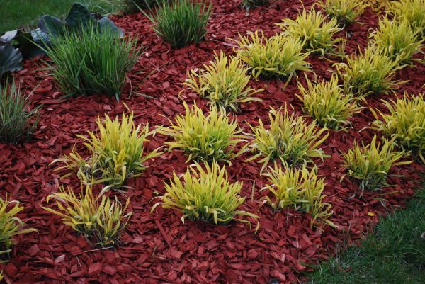 Red Mulch Installation in Gig Harbor