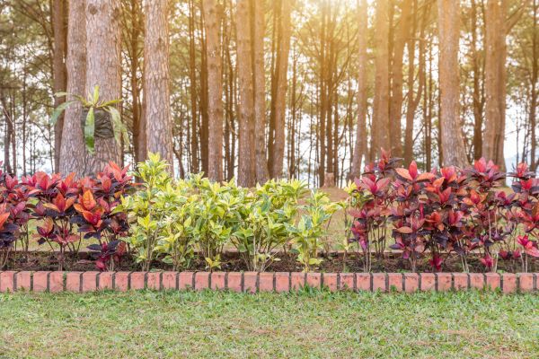 Small Garden Landscaping in Gig Harbor