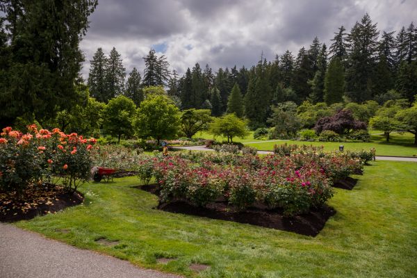 Flower Garden Landscaping in Gig Harbor