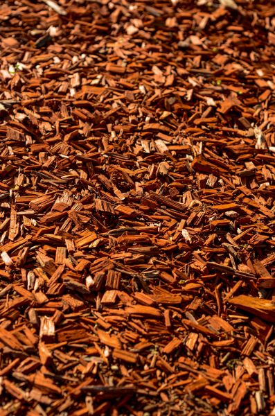Cedar Mulch Spreading in Gig Harbor