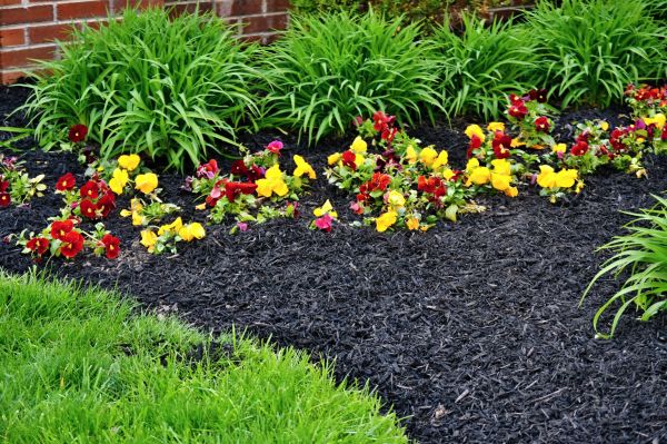 Apartment Mulching in Gig Harbor
